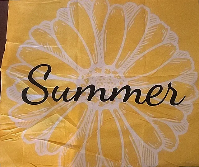 18" x 18" Decorative Pillow Case "Summer" Yellow NEW