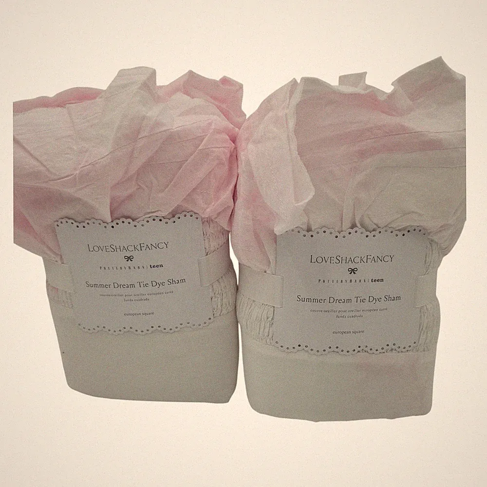Pottery Barn LoveShackFancy Summer Dreams Set Of 2 Euro Shams Romantic Ruffle